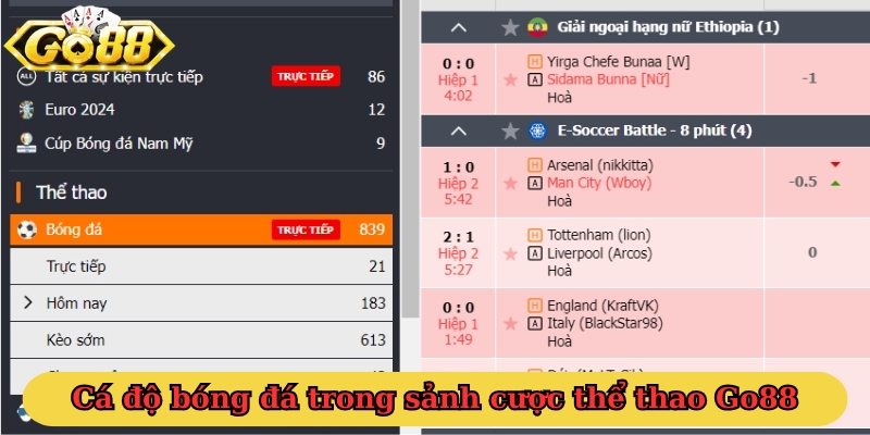 Cá độ bóng đá trong sảnh cược thể thao Go88